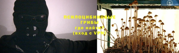 ПСИЛОЦИБИНОВЫЕ ГРИБЫ Мегион