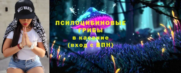 спиды Медногорск