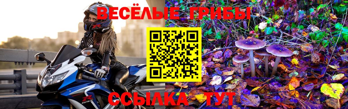 Псилоцибиновые грибы прущие грибы  Вход с VPN  Муром 