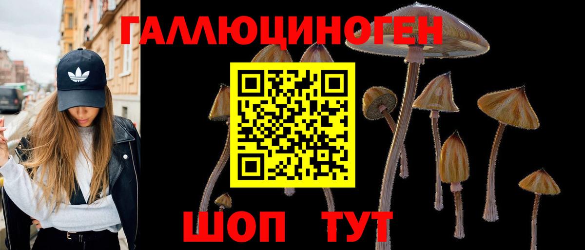 ЭКСТАЗИ  Бошки Шишки  ГАШИШ  КОКАИН  НБОМе  MDMA  Конопля  Муром  Кокаин  Мефедрон кристаллы  Вход с VPN  Меф МЯУ МЯУ 